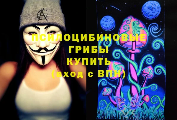 крисы Алексеевка