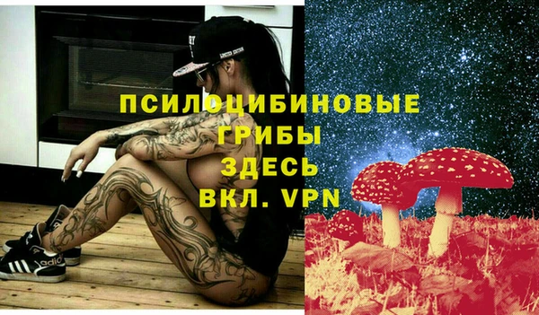 не бодяженный Осташков