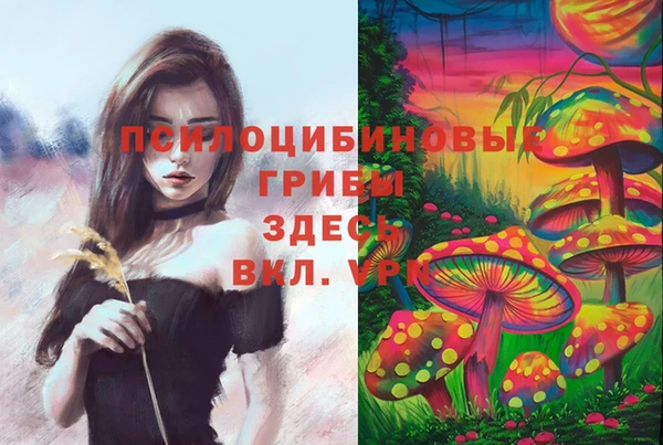 крисы Алексеевка